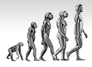evoluciya